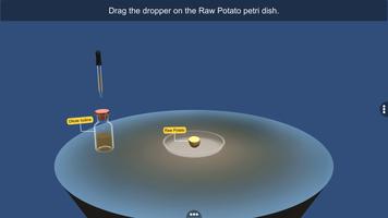Test for Starch in Food Sample скриншот 2