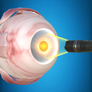 The Eye (Anatomy & Physiology) APK