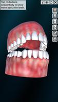 Incredible Human Teeth ảnh chụp màn hình 1