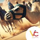 camel race icon