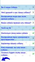 Тесты для вашей собаки الملصق