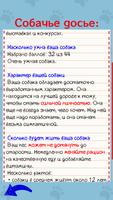 Тесты для вашей собаки تصوير الشاشة 3