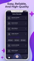 Voice Recorder ảnh chụp màn hình 2