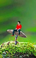 Miniature photo editor frames imagem de tela 2