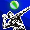 Volleyball Champ