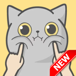 Cute Cat Stickers - WAStickerApps