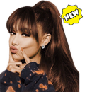 WAstickerApps Ariana Grande Stickers Memes APK