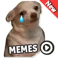 Stickers Dog Memes