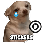 Dog meme sticker WAStickerApps icon