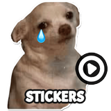 犬のミームステッカー (WAStickerApps)