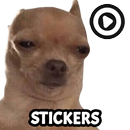 Figurinhas Memes WAStickerApps APK