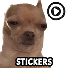 Mèmes stickers WAStickerApps icône