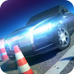 Valley Parking 3D XAPK download