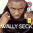 best music of Wally Seck without internet-APK