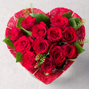 Flowers Stickers for WhatsApp APK