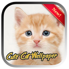 Wallpaper Kucing Lucu & Imut simgesi