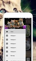 Wallpaper Kucing Lucu & Imut Affiche