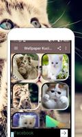 Wallpaper Kucing Lucu & Imut capture d'écran 1