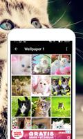 Wallpaper Kucing Lucu & Imut capture d'écran 2