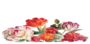 Roses Stickers For Whatsapp