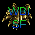 WBI Sensory Fireworks icône