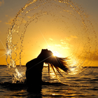 Live Water Wallpaper biểu tượng