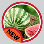 Malattie delle piante Watermelon