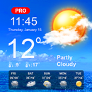 Weather Now Pro & Local Forecast Weather Maps APK