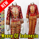 APK 80+ traditional fabric motifs