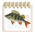 Календарь рыбака icône