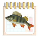 APK Календарь рыбака