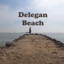Wisata Pasir Putih Delegan APK