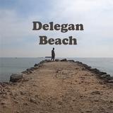 Wisata Pasir Putih Delegan icon