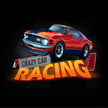 ”Crazy Car Racing