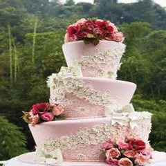 Baixar Bolo de casamento APK