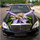 Idées de décoration de voiture de mariage APK