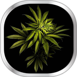 Marihuana Tapety Na Żywo ikona