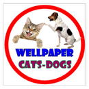 Wellpaper -cats&dogs APK