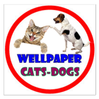 Wellpaper -cats&dogs Zeichen