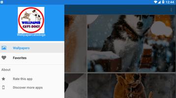 برنامه‌نما Wellpaper -cats&dogs عکس از صفحه