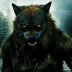 ”Werewolf wallpaper