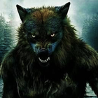 Icona Sfondi di lupo mannaro.