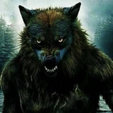 늑대인간 월페이퍼.
