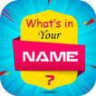 What is in Your Name & Your Name Facts