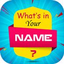 What is in Your Name & Your Name Facts APK