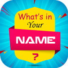 What is in Your Name & Your Name Facts আইকন