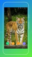 Tiger Wallpaper screenshot 3