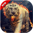 White Tiger HD Wallpapers Album 2019 APK