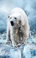 Wild animals Live Wallpaper Screenshot 1