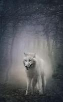 Wild animals Live Wallpaper Screenshot 3